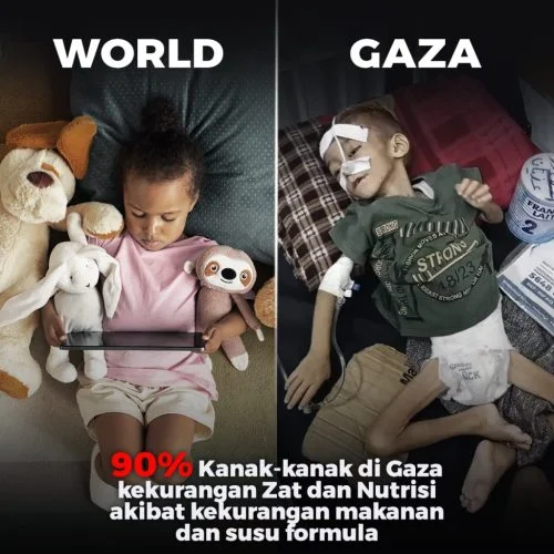 Info Palestin